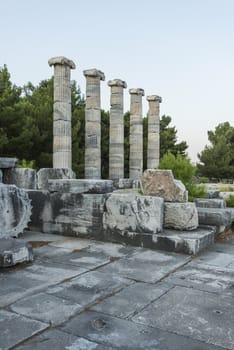 Columns of Priene