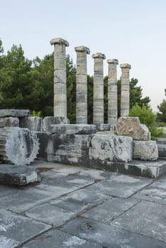 Columns of Priene