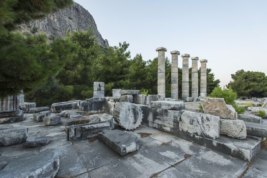 Columns of Priene