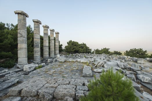 Columns of Priene