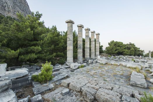 Columns of Priene