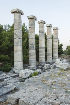 Columns of Priene