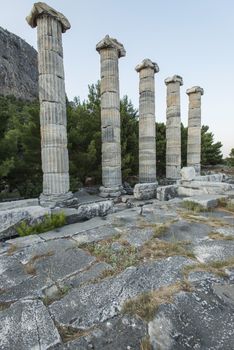 Columns of Priene