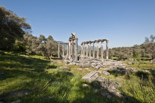 The Temple of Zeus at Euromos is to me the perfect ruined Greek temple.  Set in a forest of olive trees just east of the D525 highway between Selcuk (Ephesus) and Bodrum (25 km/16 miles SE of Lake Bafa, 13 km/8 miles NW of Milas), just south of the village of Selimiye (map), the Corinthian temple almost looks like a Hollywood set, except it's for real.  A shrine may have existed here from the 6th century BCE.  Believed to date from the time of Emperor Hadrian (117-138 CE), the Temple of Zeus Lepsynus and its precinct were excavated by Turkish archeologists starting in 1969. Look carefully and you'll see that some of the columns are unfluted, meaning perhaps that the temple was never finished.  Located about a mile south of the village of Selimiye, the temple area has no services, although there may be a villager selling cold drinks.  Stop for a half-hour's look if you're driving south from ?zmir or Ephesus headed for Milas, Bodrum or Marmaris.  This is actually a much larger archeological site than just the temple. The hillside to the east is littered with ruins, and if you spend an hour hiking around you can find a theater, an agora and massive defensive walls.