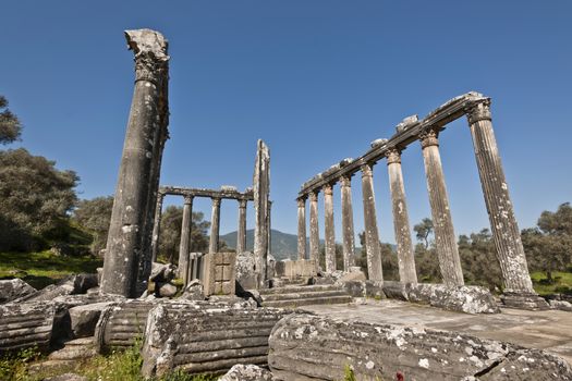 The Temple of Zeus at Euromos is to me the perfect ruined Greek temple.  Set in a forest of olive trees just east of the D525 highway between Selcuk (Ephesus) and Bodrum (25 km/16 miles SE of Lake Bafa, 13 km/8 miles NW of Milas), just south of the village of Selimiye (map), the Corinthian temple almost looks like a Hollywood set, except it's for real.  A shrine may have existed here from the 6th century BCE.  Believed to date from the time of Emperor Hadrian (117-138 CE), the Temple of Zeus Lepsynus and its precinct were excavated by Turkish archeologists starting in 1969. Look carefully and you'll see that some of the columns are unfluted, meaning perhaps that the temple was never finished.  Located about a mile south of the village of Selimiye, the temple area has no services, although there may be a villager selling cold drinks.  Stop for a half-hour's look if you're driving south from ?zmir or Ephesus headed for Milas, Bodrum or Marmaris.  This is actually a much larger archeological site than just the temple. The hillside to the east is littered with ruins, and if you spend an hour hiking around you can find a theater, an agora and massive defensive walls.