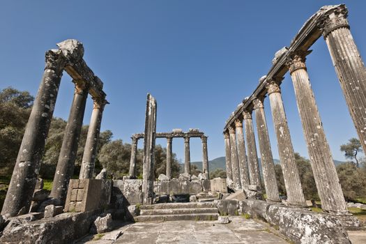 The Temple of Zeus at Euromos is to me the perfect ruined Greek temple.  Set in a forest of olive trees just east of the D525 highway between Selcuk (Ephesus) and Bodrum (25 km/16 miles SE of Lake Bafa, 13 km/8 miles NW of Milas), just south of the village of Selimiye (map), the Corinthian temple almost looks like a Hollywood set, except it's for real.  A shrine may have existed here from the 6th century BCE.  Believed to date from the time of Emperor Hadrian (117-138 CE), the Temple of Zeus Lepsynus and its precinct were excavated by Turkish archeologists starting in 1969. Look carefully and you'll see that some of the columns are unfluted, meaning perhaps that the temple was never finished.  Located about a mile south of the village of Selimiye, the temple area has no services, although there may be a villager selling cold drinks.  Stop for a half-hour's look if you're driving south from ?zmir or Ephesus headed for Milas, Bodrum or Marmaris.  This is actually a much larger archeological site than just the temple. The hillside to the east is littered with ruins, and if you spend an hour hiking around you can find a theater, an agora and massive defensive walls.