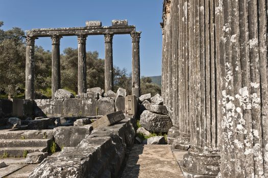 The Temple of Zeus at Euromos is to me the perfect ruined Greek temple.  Set in a forest of olive trees just east of the D525 highway between Selcuk (Ephesus) and Bodrum (25 km/16 miles SE of Lake Bafa, 13 km/8 miles NW of Milas), just south of the village of Selimiye (map), the Corinthian temple almost looks like a Hollywood set, except it's for real.  A shrine may have existed here from the 6th century BCE.  Believed to date from the time of Emperor Hadrian (117-138 CE), the Temple of Zeus Lepsynus and its precinct were excavated by Turkish archeologists starting in 1969. Look carefully and you'll see that some of the columns are unfluted, meaning perhaps that the temple was never finished.  Located about a mile south of the village of Selimiye, the temple area has no services, although there may be a villager selling cold drinks.  Stop for a half-hour's look if you're driving south from ?zmir or Ephesus headed for Milas, Bodrum or Marmaris.  This is actually a much larger archeological site than just the temple. The hillside to the east is littered with ruins, and if you spend an hour hiking around you can find a theater, an agora and massive defensive walls.