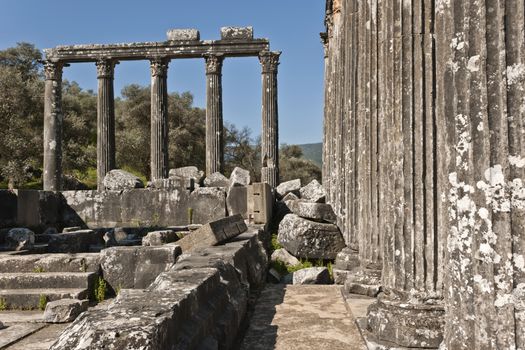 The Temple of Zeus at Euromos is to me the perfect ruined Greek temple.  Set in a forest of olive trees just east of the D525 highway between Selcuk (Ephesus) and Bodrum (25 km/16 miles SE of Lake Bafa, 13 km/8 miles NW of Milas), just south of the village of Selimiye (map), the Corinthian temple almost looks like a Hollywood set, except it's for real.  A shrine may have existed here from the 6th century BCE.  Believed to date from the time of Emperor Hadrian (117-138 CE), the Temple of Zeus Lepsynus and its precinct were excavated by Turkish archeologists starting in 1969. Look carefully and you'll see that some of the columns are unfluted, meaning perhaps that the temple was never finished.  Located about a mile south of the village of Selimiye, the temple area has no services, although there may be a villager selling cold drinks.  Stop for a half-hour's look if you're driving south from ?zmir or Ephesus headed for Milas, Bodrum or Marmaris.  This is actually a much larger archeological site than just the temple. The hillside to the east is littered with ruins, and if you spend an hour hiking around you can find a theater, an agora and massive defensive walls.