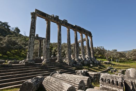 The Temple of Zeus at Euromos is to me the perfect ruined Greek temple.  Set in a forest of olive trees just east of the D525 highway between Selcuk (Ephesus) and Bodrum (25 km/16 miles SE of Lake Bafa, 13 km/8 miles NW of Milas), just south of the village of Selimiye (map), the Corinthian temple almost looks like a Hollywood set, except it's for real.  A shrine may have existed here from the 6th century BCE.  Believed to date from the time of Emperor Hadrian (117-138 CE), the Temple of Zeus Lepsynus and its precinct were excavated by Turkish archeologists starting in 1969. Look carefully and you'll see that some of the columns are unfluted, meaning perhaps that the temple was never finished.  Located about a mile south of the village of Selimiye, the temple area has no services, although there may be a villager selling cold drinks.  Stop for a half-hour's look if you're driving south from ?zmir or Ephesus headed for Milas, Bodrum or Marmaris.  This is actually a much larger archeological site than just the temple. The hillside to the east is littered with ruins, and if you spend an hour hiking around you can find a theater, an agora and massive defensive walls.