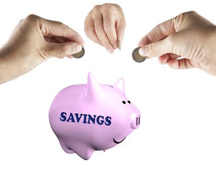 Male hands bringing money to a piggy bank, isolated over white, with word "Savings" on the side