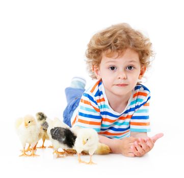Happy little boy with cute chickens isolated on white background
