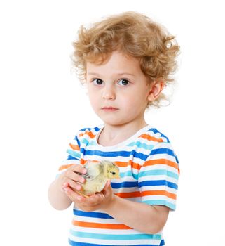 Happy little boy with cute chickens isolated on white background