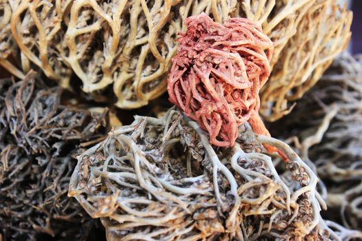 Spices and herbs on oriental market