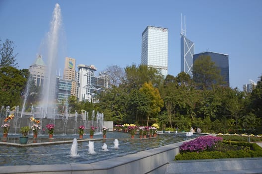 Colorful flowers and fountains in the Botanical Gardens surrounded by tall office buildings in Hong Kong, China.