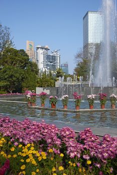 Colorful flowers and fountains in the Botanical Gardens surrounded by tall office buildings in Hong Kong, China.