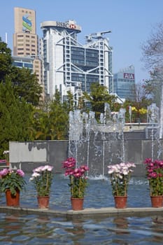 Colorful flowers and fountains in the Botanical Gardens surrounded by tall office buildings in Hong Kong, China.