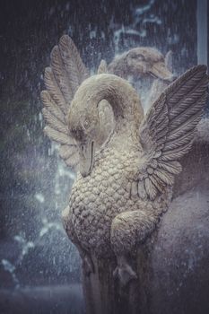 Ducks, Ornamental fountains of the Palace of Aranjuez, Madrid, Spain.World Heritage Site by UNESCO in 2001