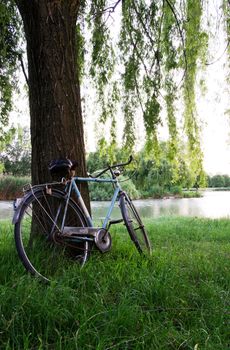 Bicycle under a tree in an italian garden