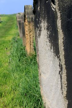 Row of old graves in a cemetery receding into the distance.