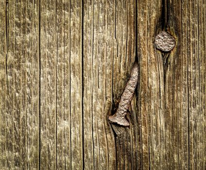 background or texture old rusty two nails in the wood