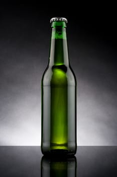 studio shot of back lit green beer bottle