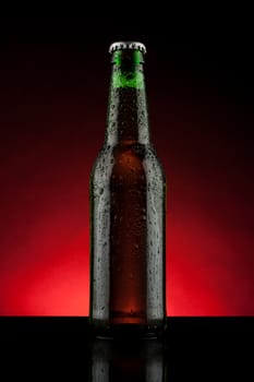 back lit green beer bottle with water drops