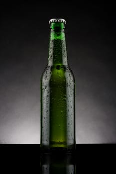 back lit green beer bottle with water drops