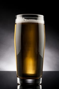 back lit glass of beer with reflection