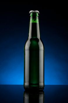 studio shot of back lit green beer bottle