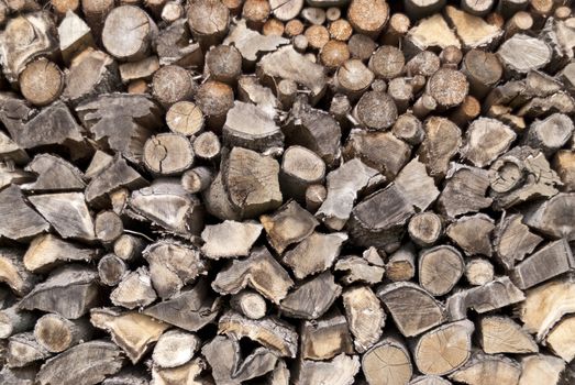 Stack of Wood in a german Forest