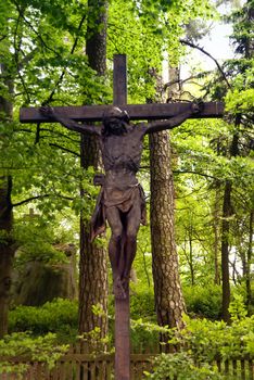 Cemetery in a Forest in Germany