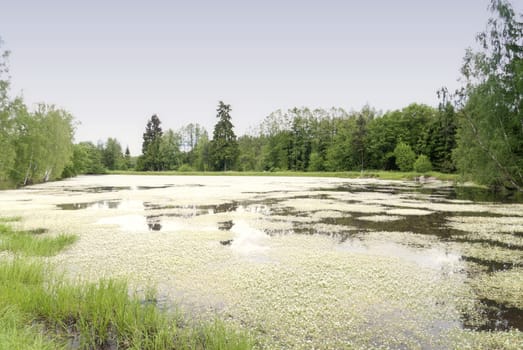 Lake in Upper Palatinate in Germany