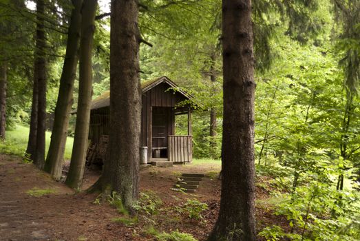 On the Hiking Trail Goldsteig in Germany