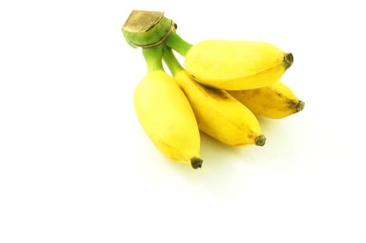 Cultivated banana has another name is Kluai Nam Wa. It is a fruit that has a high nutritional value. Eat all ages. Grown in Asia, inexpensive, can be converted into a variety of food types. Both sweet and meat diet.