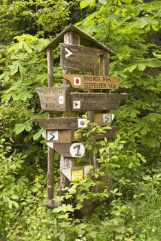 On the Hiking Trail Goldsteig in Germany