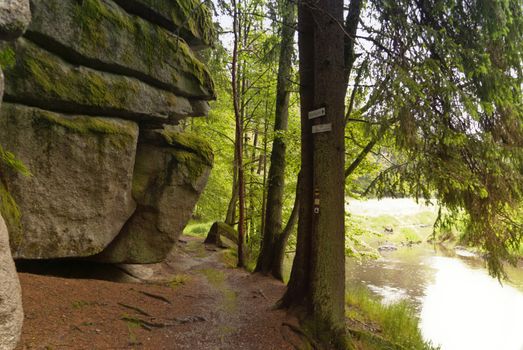 On the Hiking Trail Goldsteig in Germany