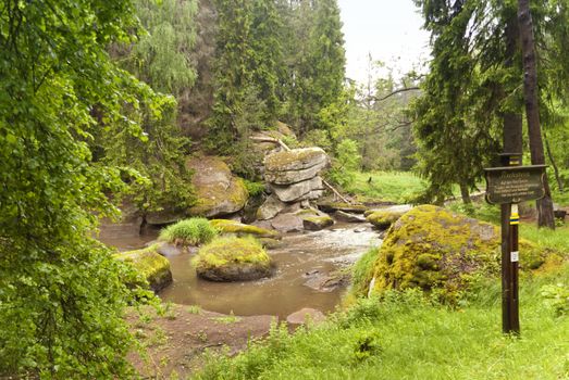 On the Hiking Trail Goldsteig in Germany