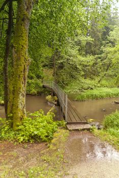 On the Hiking Trail Goldsteig in Germany
