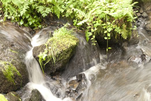Nature Reserve Doost in Upper Palatinate in Germany