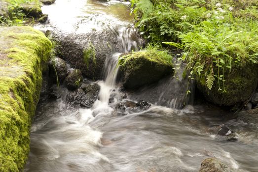 Nature Reserve Doost in Upper Palatinate in Germany