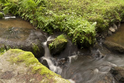 Nature Reserve Doost in Upper Palatinate in Germany