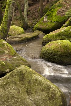 Nature Reserve Doost in Upper Palatinate in Germany