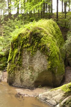 Nature Reserve Doost in Upper Palatinate in Germany
