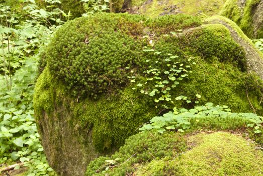 Nature Reserve Doost in Upper Palatinate in Germany