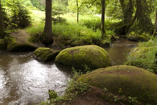Nature Reserve Doost in Upper Palatinate in Germany