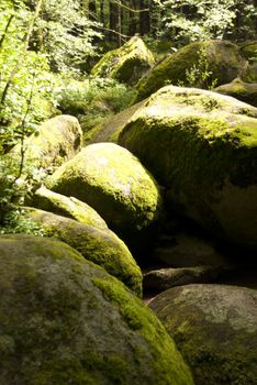 Nature Reserve Doost in Upper Palatinate in Germany