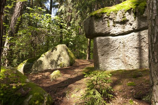 Nature Reserve Doost in Upper Palatinate in Germany