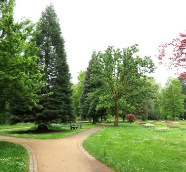 Flowers and trees in the natural Park