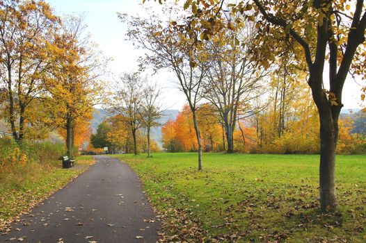 Mosel-Radweg bei Enkirch im Herbst
