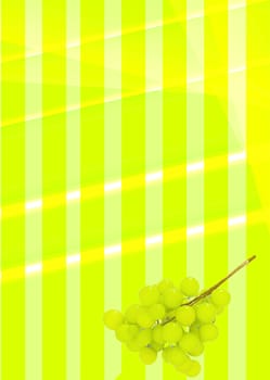 background of colored bands with grapes